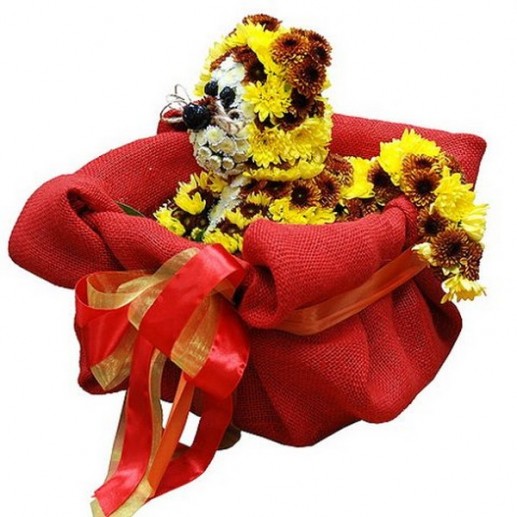 Động vật từ hoa 10