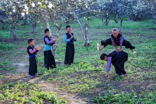 Mùa hoa mận trắng của người Mông bản Phiêng Cành 11