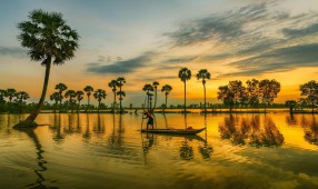 “Xứ sở cây thốt nốt