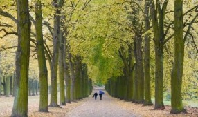 Loạt ảnh mùa thu Berlin đẹp như tranh