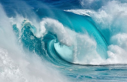 When the Ocean Turns into Blue Fire (Khi Đại Dương biến đổi thành lửa xanh) 