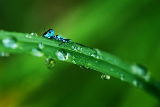 Hide and Seek (Trốn tìm) 