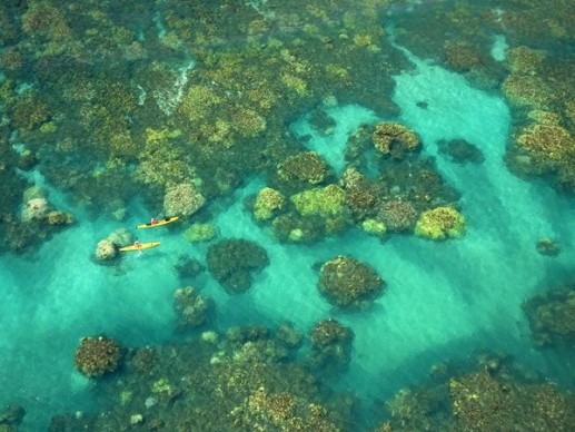 Kayakers, Maui