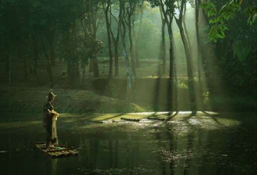 Ảnh bình minh 13