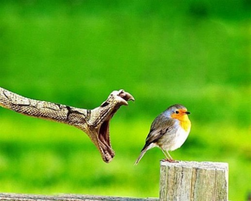 Khoảng khắc tuyệt vời 15