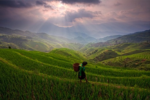 Ảnh bình minh 4