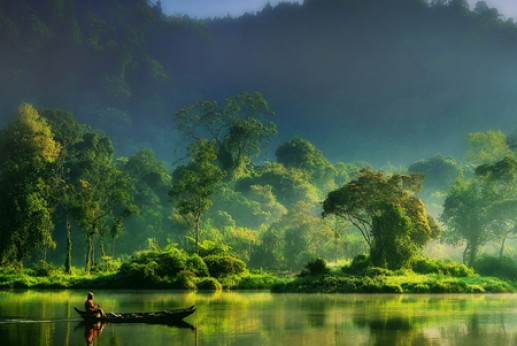 Ảnh bình minh 7