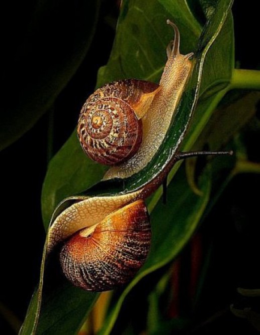 Khoảng khắc tuyệt vời 6