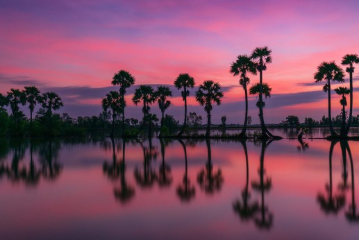 “Xứ sở cây thốt nốt" Tịnh Biên đẹp như tranh vẽ mùa nước nổi 3
