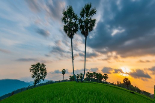 “Xứ sở cây thốt nốt" Tịnh Biên đẹp như tranh vẽ mùa nước nổi 5