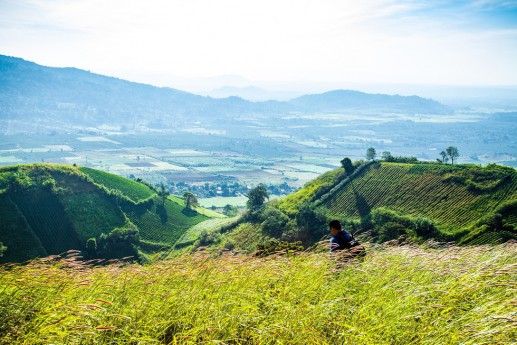 Thảm dã quỳ trên núi lửa Chư Đăng Ya hùng vĩ  5