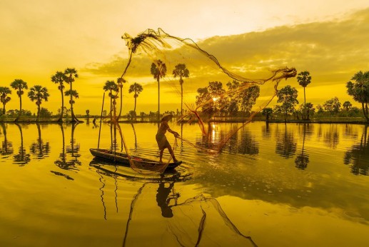 “Xứ sở cây thốt nốt" Tịnh Biên đẹp như tranh vẽ mùa nước nổi 7