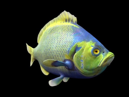 Caproberyx
