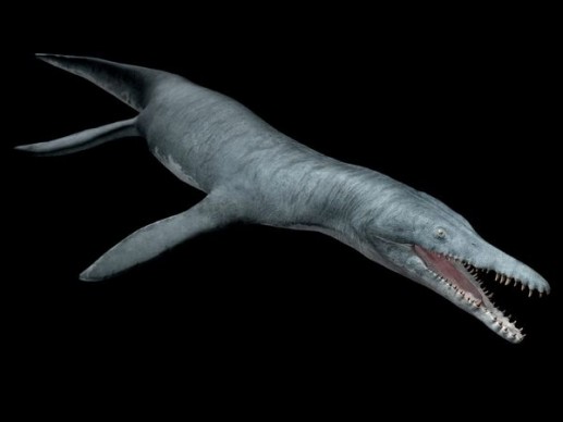 Kronosaurus