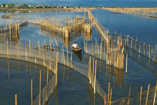 Về Đầm Chuồn xứ Huế 9