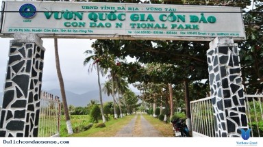 Ban quản lý Vườn quốc gia Côn Đảo đánh giá cao sự kiện Bảo tồn Cây Di sảnViệt Nam