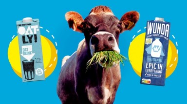  Giống sữa, nhưng không có bò…