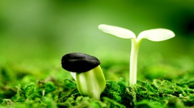  Phát hành sách mới về "An ninh môi trường" 