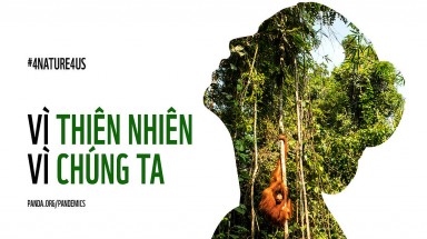  Rất nhiều dấu hiệu cảnh báo một đại dịch mới xuất hiện trừ phi chúng ta hành động khẩn cấp 