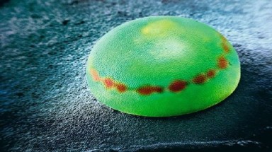  Nhìn trứng côn trùng dưới kính hiển vi