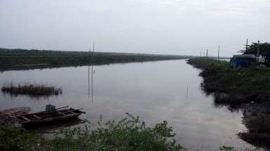  Sự kiện Tiên Lãng và "giọt nước tràn ly"