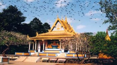  Mai này, chùa Dơi có còn dơi ?