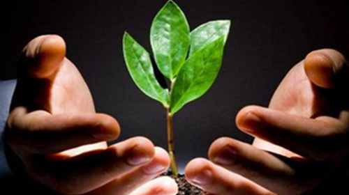 Đâu rồi tết xanh ngày ấy