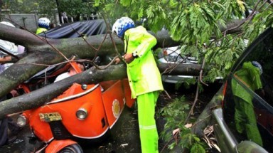   Indonesia: Lốc xoáy làm 14 người chết 