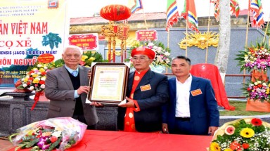  Cây Cọ xẻ đầu tiên được công nhận là Cây Di sản Việt Nam