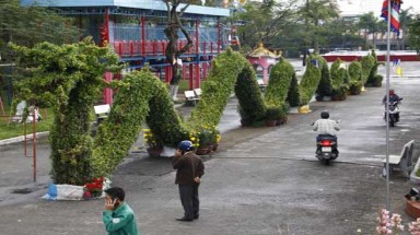Rồng dài kỷ lục tại hội hoa xuân Đà Nẵng