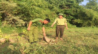 Bắc Giang: 28 cá thể động vật rừng quý, hiếm được chuyển giao, cứu hộ, bảo tồn trong năm 2017