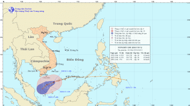  Bão số 1 cách đảo Côn Đảo khoảng 280km về phía Đông Nam