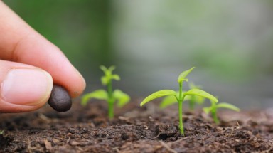  Bảo vệ môi trường là cứu lấy chính mình