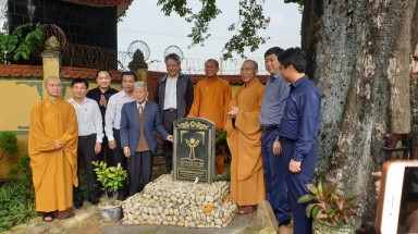  Cả nước có 3975 “Cây Di sản Việt Nam