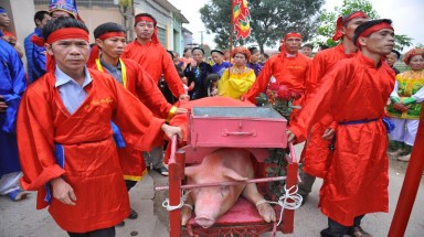  Hội làng Ném Thượng Bắc Ninh 2018 sẽ không còn chém lợn ở sân đình
