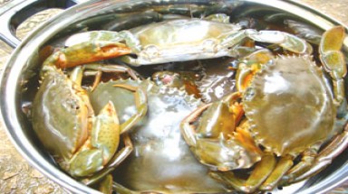  Thực phẩm ngừa bệnh hư khớp