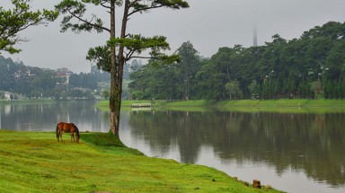  Đà Lạt lạc đâu mất rồi?