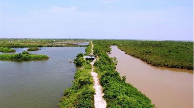 Ngày Đất ngập nước thế giới năm 2019: Ngăn chặn suy kiệt đất ngập nước để chống biến đổi khí hậu
