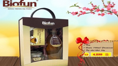  Đông trùng Hạ thảo Biofun của Viet land không phép bị xử lý thế nào?