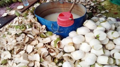  Bơm hóa chất tạo ngọt vào trái dừa tươi là không cần thiết