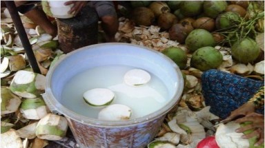  Thực hư dừa Bến Tre bị bơm hương liệu, đường hóa học