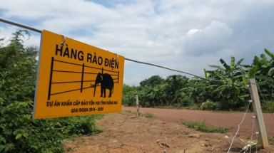 Kiến nghị kéo dài thêm 20 km hàng rào điện bảo vệ voi rừng 