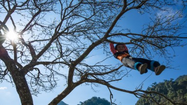 Mùa hoa mận trắng của người Mông bản Phiêng Cành