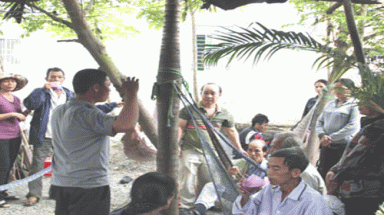  Khánh Hòa: Dân đổ xô cầu cứu "thần y"