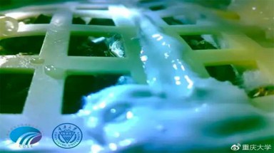  Mầm xanh đầu tiên trên mặt trăng chết yểu