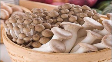 Dễ tử vong vì uống rượu với nấm