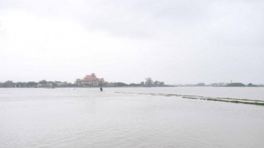 Bình Định mưa lớn, hơn 11.300 ha lúa mới gieo sạ bị ngập úng