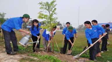Kiến nghị lấy ngày 28 tháng Giêng là Ngày cây xanh Việt Nam