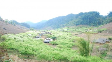     Kon Tum: Truy tìm 2 cháu nhỏ mất tích 10 ngày trong rừng