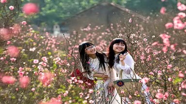    Tết Nguyên đán 2013: Thời tiết sẽ ra sao?